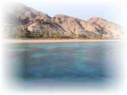 Hurghada - skolen og dykkerkurs